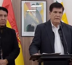 Descubren organización criminal que intercambiaba cargas de la estatal BoA