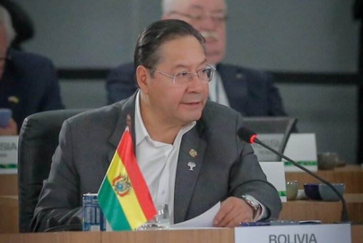 Arce plantea en los BRICS que los países accedan a créditos sin tomar en cuenta indicadores internacionales